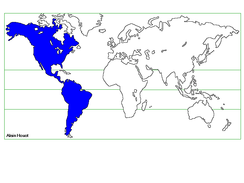 contiam.GIF